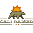 Cali Raised LED